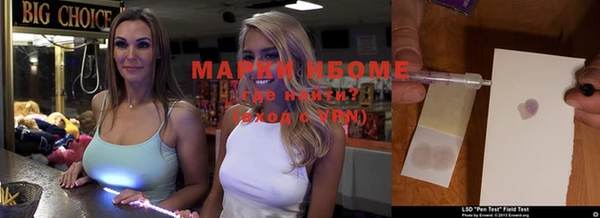 прущие грибы Дубовка